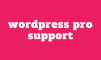 Wordpress Pro Support image 2